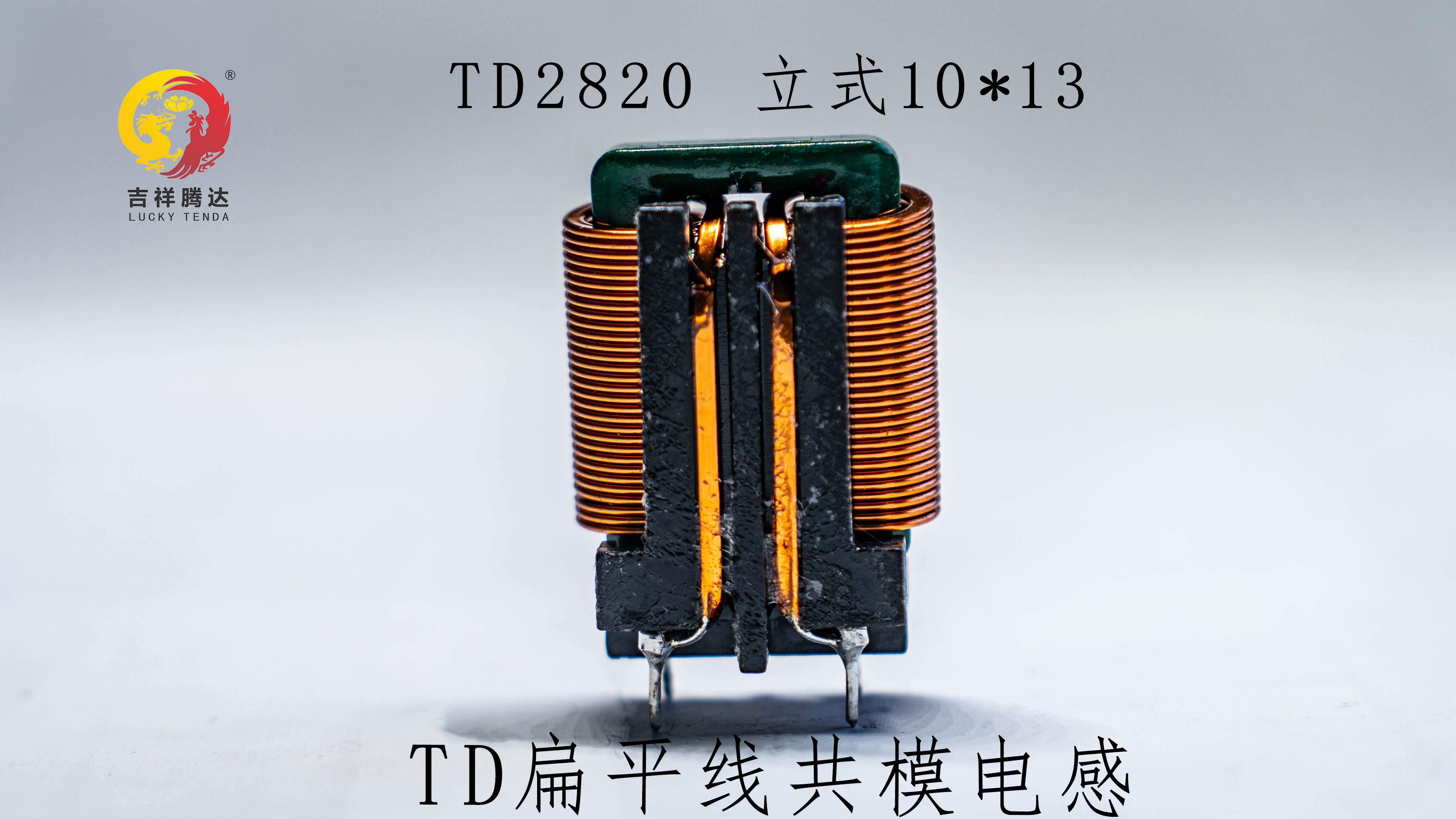 TD2820立式 TD扁平線共模電感